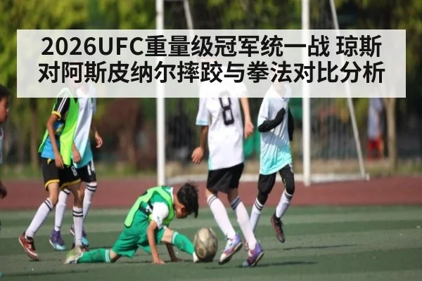 2026UFC重量级冠军统一战 琼斯对阿斯皮纳尔摔跤与拳法对比分析